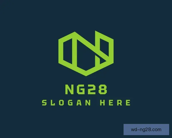 发现NG28